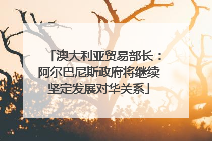 澳大利亚贸易部长：阿尔巴尼斯政府将继续坚定发展对华关系