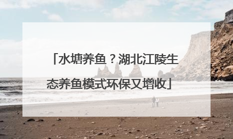 水塘养鱼？湖北江陵生态养鱼模式环保又增收