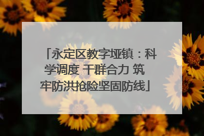 永定区教字垭镇：科学调度 干群合力 筑牢防洪抢险坚固防线