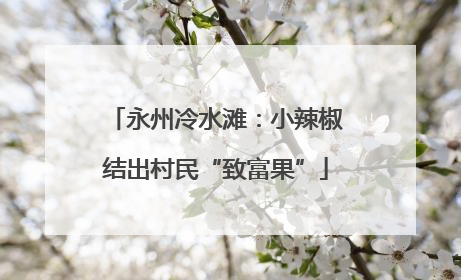 永州冷水滩：小辣椒结出村民“致富果”