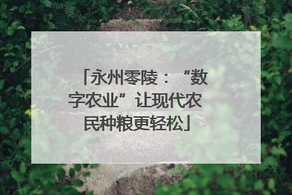 永州零陵：“数字农业”让现代农民种粮更轻松