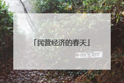 民营经济的春天