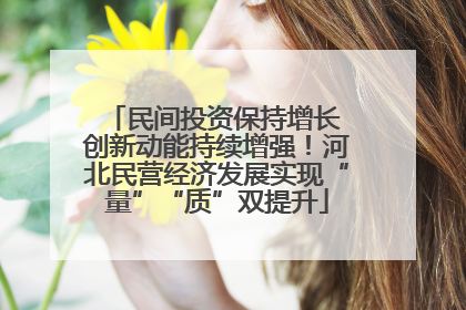 民间投资保持增长 创新动能持续增强！河北民营经济发展实现“量”“质”双提升