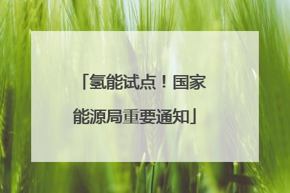 氢能试点！国家能源局重要通知
