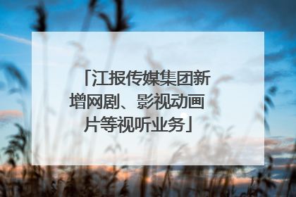 江报传媒集团新增网剧、影视动画片等视听业务