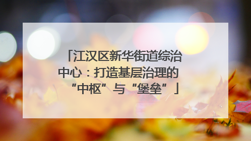 江汉区新华街道综治中心：打造基层治理的“中枢”与“堡垒”