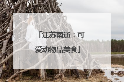 江苏南通：可爱动物品美食