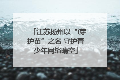 江苏扬州以“i芽护苗”之名 守护青少年网络晴空