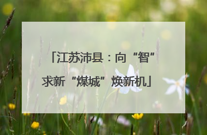 江苏沛县：向“智”求新“煤城”焕新机