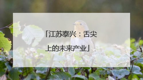 江苏泰兴：舌尖上的未来产业