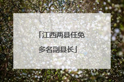 江西两县任免多名副县长