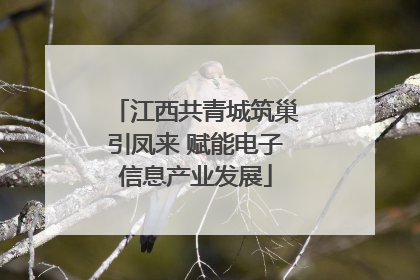 江西共青城筑巢引凤来 赋能电子信息产业发展