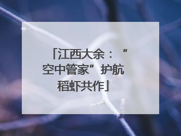 江西大余：“空中管家”护航稻虾共作