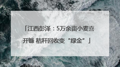 江西彭泽：5万余亩小麦喜开镰 秸秆回收变“绿金”