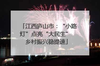 江西庐山市：“小路灯”点亮“大民生” 乡村振兴稳提速