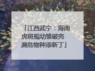 江西武宁：海南虎斑鳽幼雏破壳 濒危物种添新丁