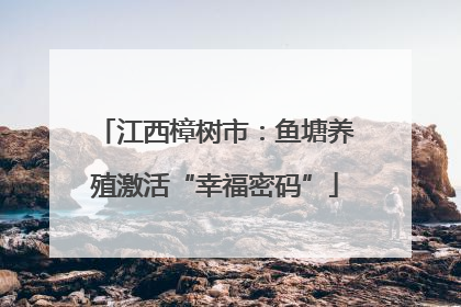 江西樟树市：鱼塘养殖激活“幸福密码”