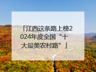 江西这条路上榜2024年度全国“十大最美农村路”
