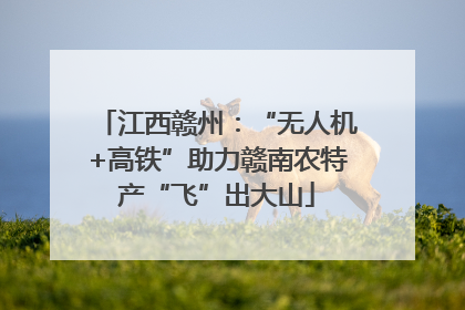 江西赣州：“无人机+高铁”助力赣南农特产“飞”出大山