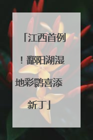 江西首例！鄱阳湖湿地彩鹮喜添新丁