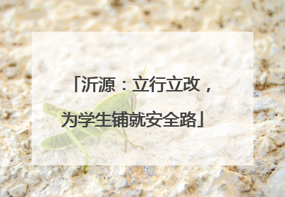 沂源：立行立改，为学生铺就安全路
