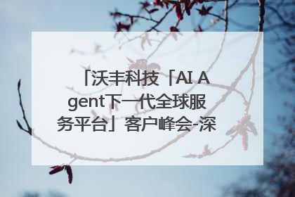 沃丰科技「AI Agent下一代全球服务平台」客户峰会-深圳站圆满落幕！