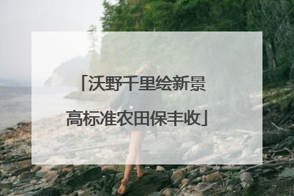 沃野千里绘新景 高标准农田保丰收