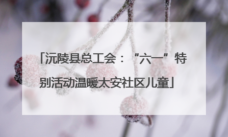 沅陵县总工会：“六一”特别活动温暖太安社区儿童