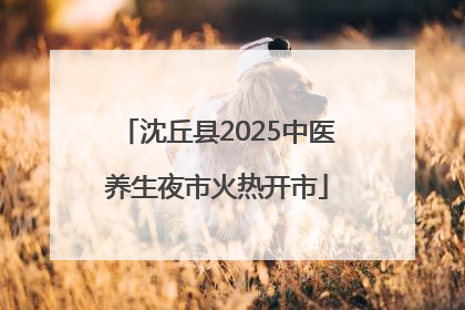 沈丘县2025中医养生夜市火热开市