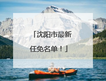 沈阳市最新任免名单！