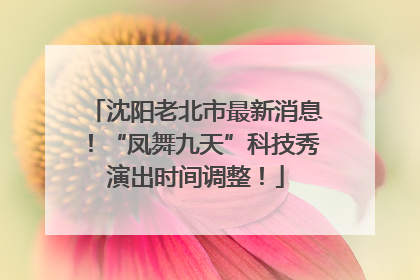沈阳老北市最新消息！“凤舞九天”科技秀演出时间调整！
