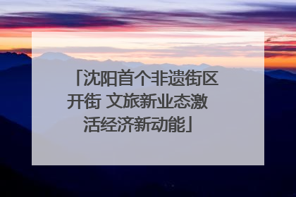 沈阳首个非遗街区开街 文旅新业态激活经济新动能