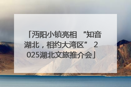 沔阳小镇亮相 “知音湖北，相约大湾区” 2025湖北文旅推介会