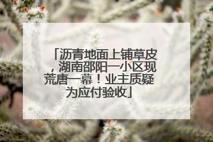 沥青地面上铺草皮，湖南邵阳一小区现荒唐一幕！业主质疑为应付验收