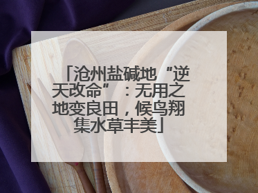 沧州盐碱地“逆天改命”：无用之地变良田，候鸟翔集水草丰美