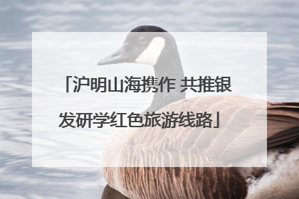 沪明山海携作 共推银发研学红色旅游线路