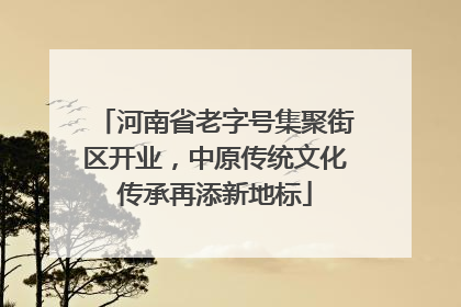 河南省老字号集聚街区开业，中原传统文化传承再添新地标