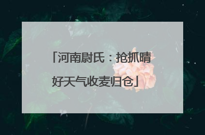 河南尉氏：抢抓晴好天气收麦归仓