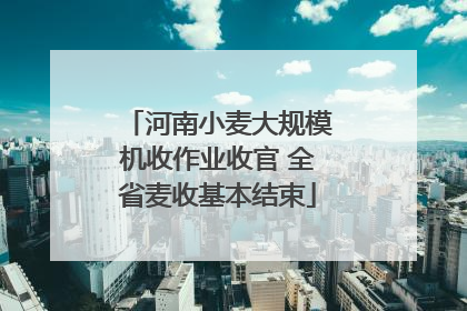 河南小麦大规模机收作业收官 全省麦收基本结束