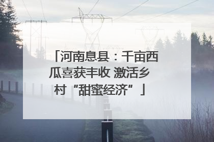 河南息县：千亩西瓜喜获丰收 激活乡村“甜蜜经济”