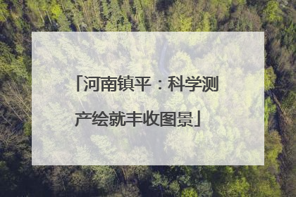 河南镇平：科学测产绘就丰收图景