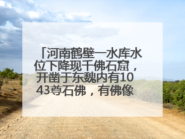 河南鹤壁一水库水位下降现千佛石窟，开凿于东魏内有1043尊石佛，有佛像首部消失，水库管理方回应