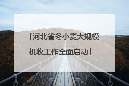 河北省冬小麦大规模机收工作全面启动