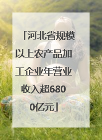 河北省规模以上农产品加工企业年营业收入超6800亿元