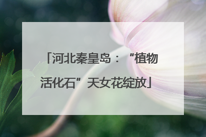 河北秦皇岛：“植物活化石”天女花绽放