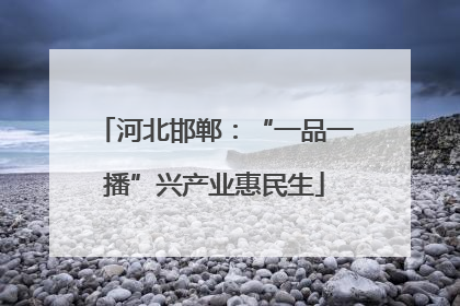河北邯郸：“一品一播”兴产业惠民生
