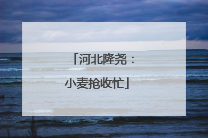 河北隆尧：小麦抢收忙