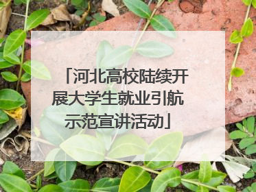 河北高校陆续开展大学生就业引航示范宣讲活动
