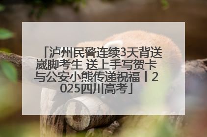 泸州民警连续3天背送崴脚考生 送上手写贺卡与公安小熊传递祝福丨2025四川高考