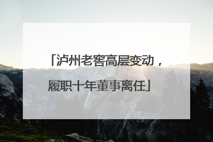 泸州老窖高层变动，履职十年董事离任